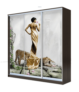 Шкаф 3-х дверный 2200х1770х620, Девушка с леопардом ХИТ 22-18/2-777-03 Венге Аруба в Новосибирске