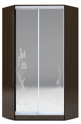 Угловой шкаф 2200х1103, ХИТ У-22-4-66-01, цапля, 2 зеркала, венге аруба в Новосибирске - изображение