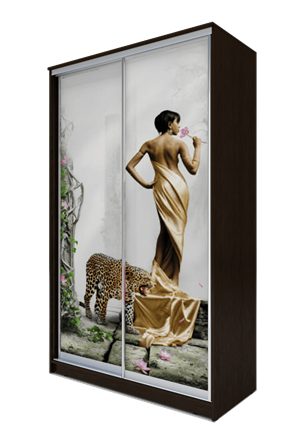Шкаф 2-х дверный 2200х1200х420, Девушка с леопардом ХИТ 22-4-12-77-03 Венге Аруба в Новосибирске - изображение