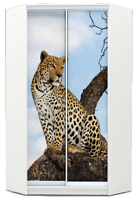 Шкаф угловой 2400х1103, ХИТ У-24-4-77-04, Леопард, белая шагрень в Новосибирске - изображение