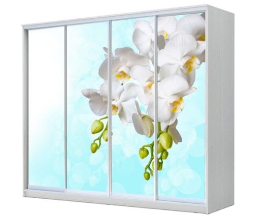 Шкаф 4-х створчатый ХИТ 22-4-24/2-7777, Белая орхидея, Белый в Новосибирске - изображение