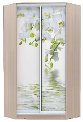 Угловой шкаф-купе 2400х1103, ХИТ У-24-4-77-05, Белая орхидея, шимо светлый в Новосибирске - изображение