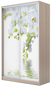 Шкаф 2-х дверный 2400х1200х620, Белая Орхидея ХИТ 24-12-77-05 Ясень Шимо Светлый в Новосибирске