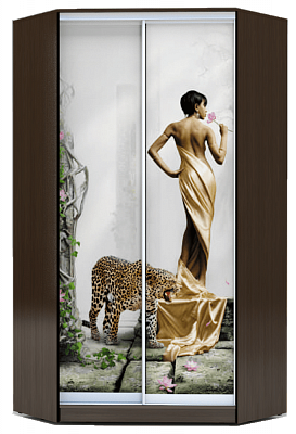 Шкаф 2400х1103, ХИТ У-24-4-77-03, Девушка с леопардом, венге в Новосибирске - изображение