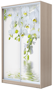 Шкаф 2-х створчатый 2400х1500х420, Белая Орхидея ХИТ 24-4-15-77-05 Ясень Шимо Светлый в Новосибирске - предосмотр