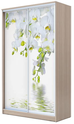 Шкаф 2400х1500х620, Белая Орхидея ХИТ 24-15-77-05 Ясень Шимо Светлый в Новосибирске - изображение