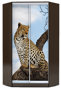 Шкаф 2400х1103, ХИТ У-24-4-77-04, Леопард, венге в Новосибирске
