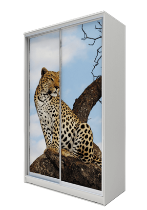 Шкаф 2-х дверный 2200х1682х420, Леопард ХИТ 22-4-17-77-04 Белая шагрень в Новосибирске - изображение