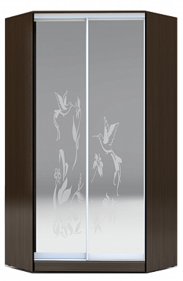 Шкаф 2400х1103, ХИТ У-24-4-66-03, колибри, 2 зеркалами, венге в Новосибирске - изображение