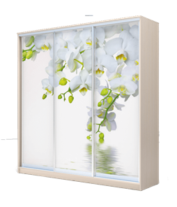 Шкаф 3-х дверный 2200х2000х420, Белая Орхидея ХИТ 22-4-20-777-05 Дуб Млечный в Новосибирске