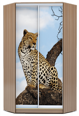 Шкаф угловой 2200х1103, ХИТ У-22-4-77-04, Леопард, шимо темный в Новосибирске - изображение
