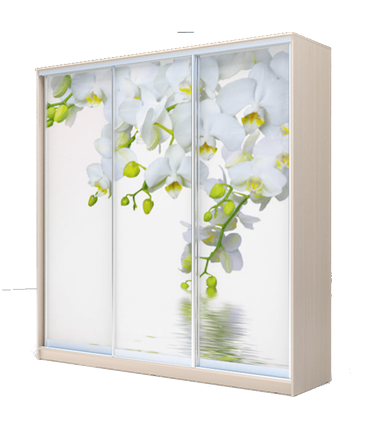 Шкаф 3-х створчатый 2400х2000х620, наполнение №2, Белая Орхидея ХИТ 24-20-777-05 Дуб Млечный в Новосибирске - изображение