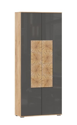 Шкаф двухстворчатый Фиджи с декоративными накладками 659.310, Дуб Золотой/Антрацит в Новосибирске - изображение