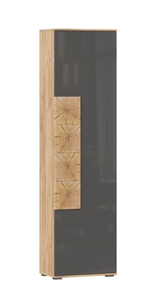 Шкаф одностворчатый Фиджи с декоративными накладками 659.300, Дуб Золотой/Антрацит в Новосибирске - изображение