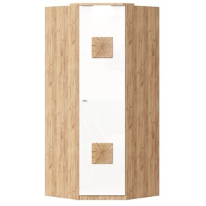 Шкаф угловой 45 с декоративной накладкой Фиджи, 659.248, белый в Бердске