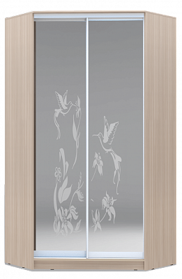 Шкаф 2200х1103, ХИТ У-22-4-66-03, колибри, 2 зеркала, шимо светлый в Новосибирске - изображение