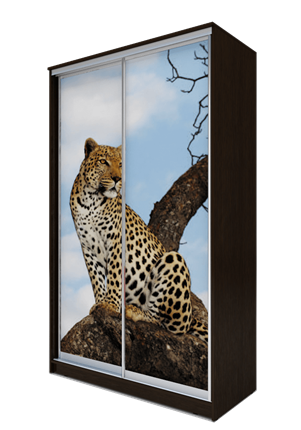 Шкаф 2-х створчатый 2400х1200х620, Леопард ХИТ 24-12-77-04 Венге Аруба в Новосибирске - изображение