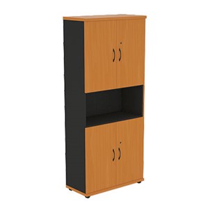 Шкаф для документов Моно-Люкс R5S22 в Бердске