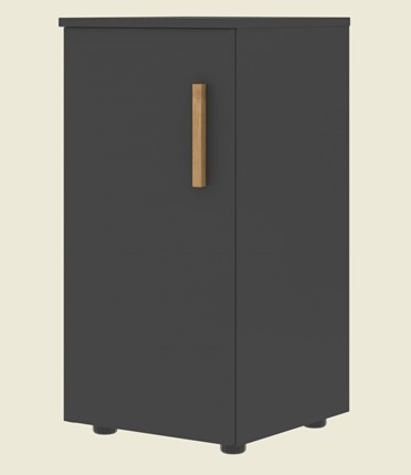 Шкаф колонна низкий с глухой левой дверью FORTA Черный Графит FLC 40.1 (L) (399х404х801) в Новосибирске - изображение