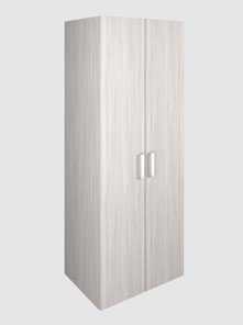 Офисный шкаф для одежды 2-дверный арт.119.1, ЛДСП Ясень шимо светлый в Новосибирске