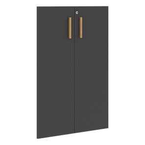 Двери для шкафов средние с замком FORTA Черный Графит FMD 40-2(Z) (794х18х1164) в Новосибирске